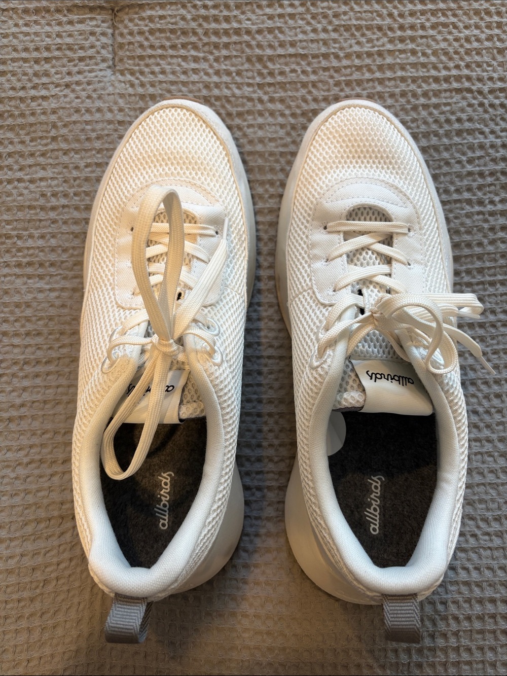 Men’s Allbirds Cream Knit Lace-Up Sneakers